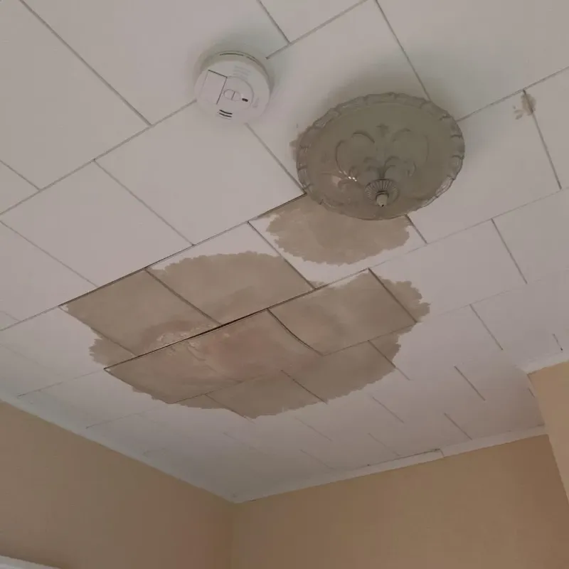 Ceiling Water Damage Repair in Lewiston, MI