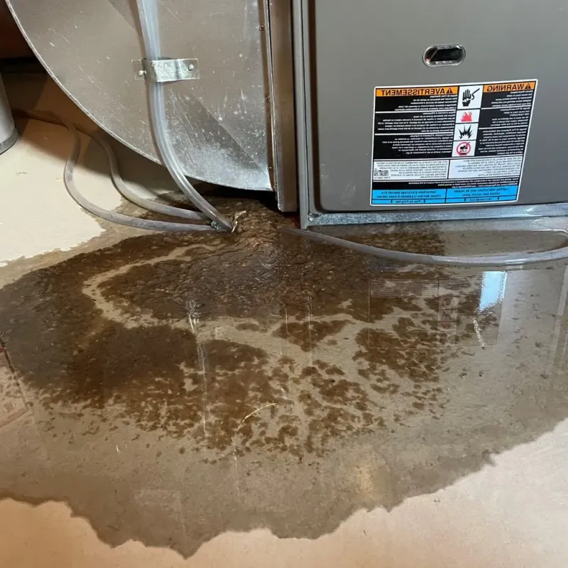 Pipe Burst and Leak Restoration in Lewiston, MI