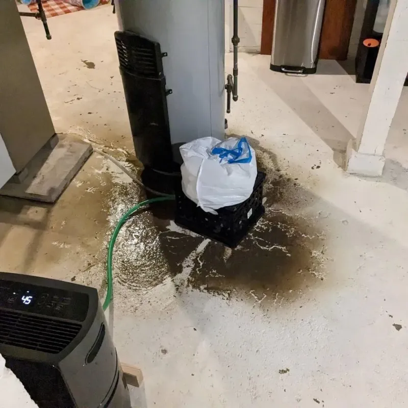 Sewage Backup Cleanup Service in Lewiston, MI